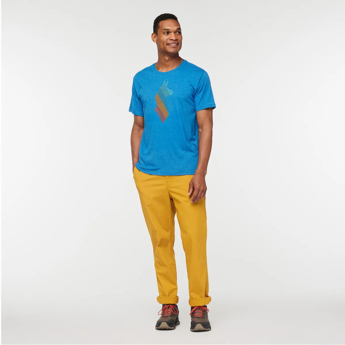 Llama Stripes T-Shirt - Men's