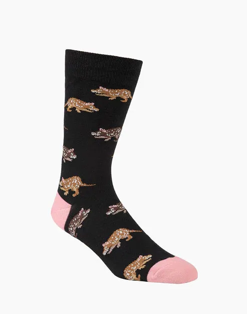 Quoll Men's Bamboo Socks